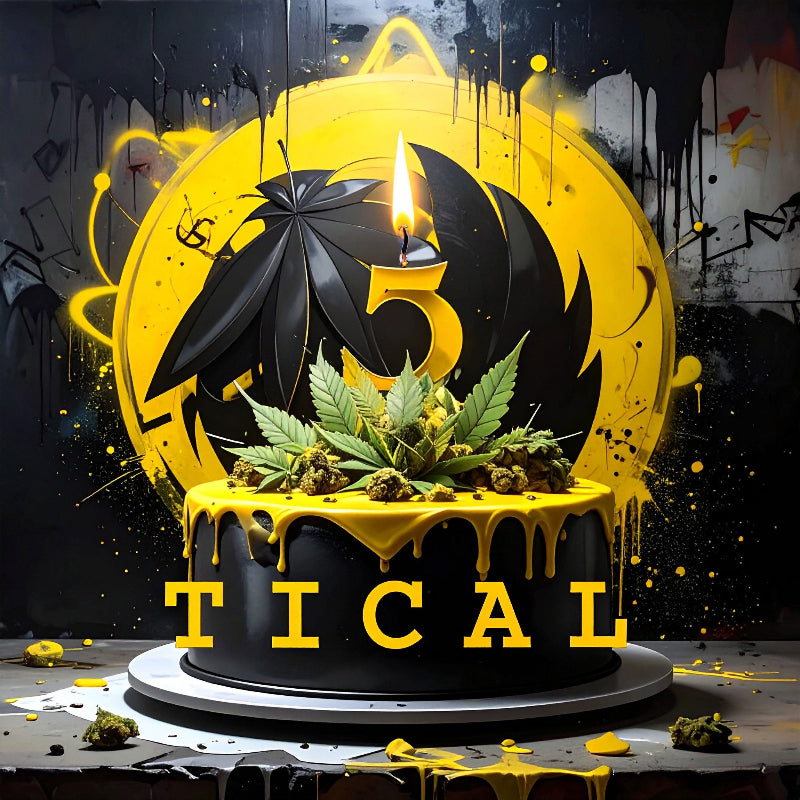 🎉 TICAL Turns 5: A Celebration of Strength, Soul, and the Hive 🐝